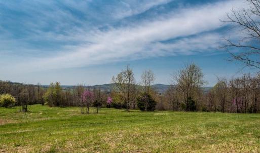 Photo #5 of HAWTHORNE DR, RAPIDAN, VA 22.9 acres