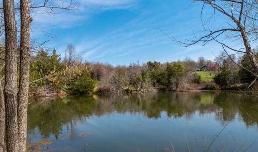 Photo #11 of HAWTHORNE DR, RAPIDAN, VA 22.9 acres