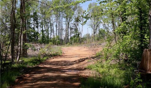 Photo #10 of OLD APPLE GROVE RD, MINERAL, VA