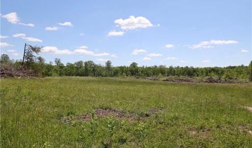 Photo #36 of OLD APPLE GROVE RD, MINERAL, VA
