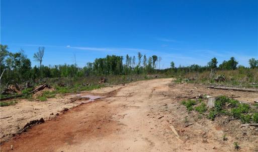 Photo #5 of OLD APPLE GROVE RD, MINERAL, VA