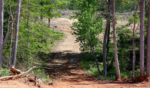 Photo #6 of OLD APPLE GROVE RD, MINERAL, VA