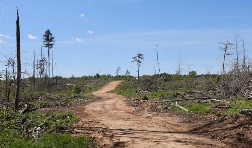 Photo #26 of OLD APPLE GROVE RD, MINERAL, VA