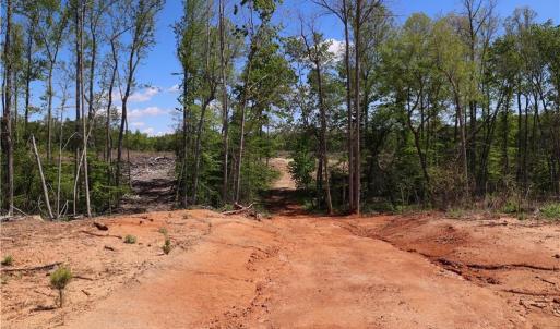 Photo #9 of OLD APPLE GROVE RD, MINERAL, VA