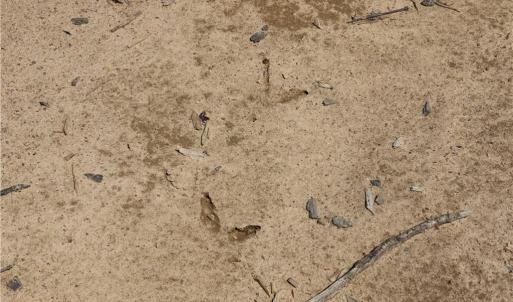 Photo #11 of OLD APPLE GROVE RD, MINERAL, VA