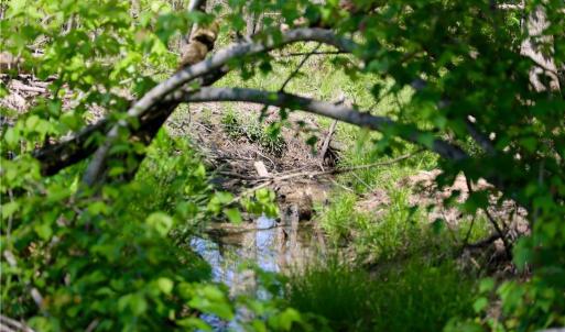 Photo #12 of OLD APPLE GROVE RD, MINERAL, VA