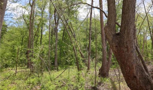 Photo #18 of OLD APPLE GROVE RD, MINERAL, VA