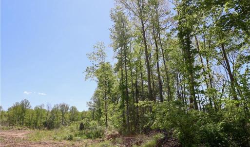 Photo #19 of OLD APPLE GROVE RD, MINERAL, VA