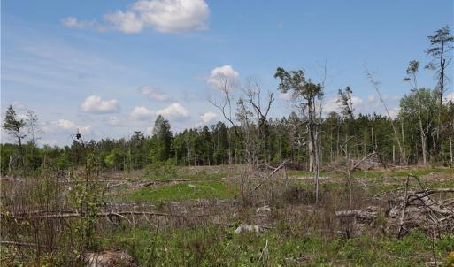 Photo #22 of OLD APPLE GROVE RD, MINERAL, VA