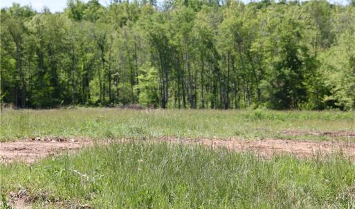 Photo #16 of OLD APPLE GROVE RD, MINERAL, VA