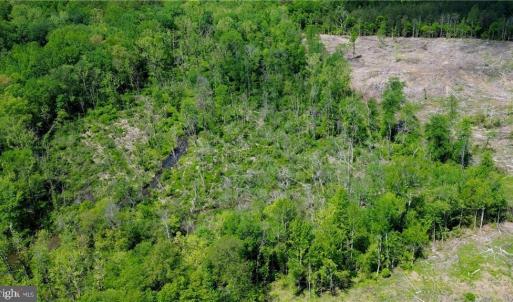 Photo #34 of OLD APPLE GROVE RD, MINERAL, VA