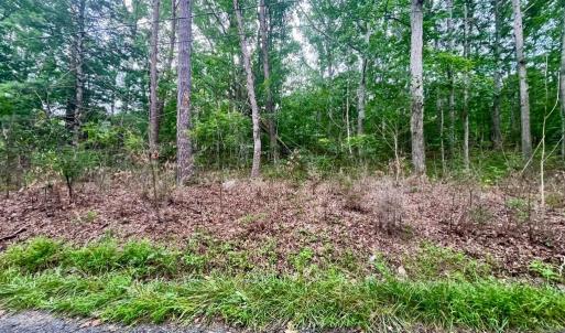 Photo #1 of OAK LANE, LURAY, VA 0.7 acres