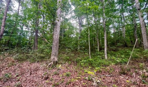 Photo #3 of OAK LANE, LURAY, VA 0.7 acres
