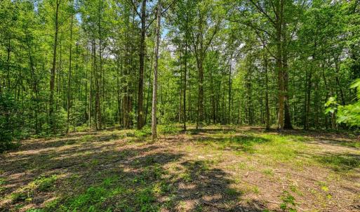 Photo #2 of JOHNSON RD, MINERAL, VA 14.0 acres