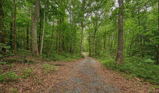 Photo #5 of JOHNSON RD, MINERAL, VA 14.0 acres