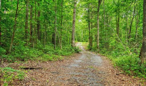 Photo #6 of JOHNSON RD, MINERAL, VA 14.0 acres