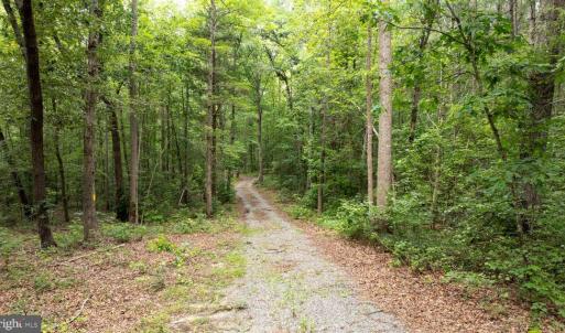 Photo #10 of JOHNSON RD, MINERAL, VA 14.0 acres
