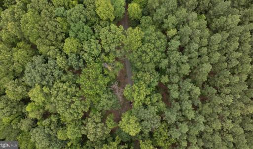 Photo #11 of JOHNSON RD, MINERAL, VA 14.0 acres