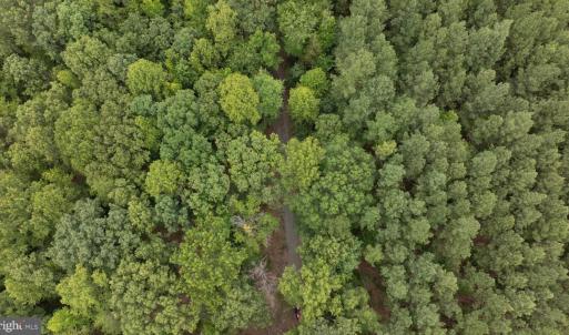 Photo #12 of JOHNSON RD, MINERAL, VA 14.0 acres