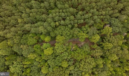 Photo #13 of JOHNSON RD, MINERAL, VA 14.0 acres