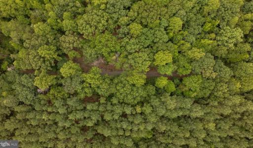 Photo #14 of JOHNSON RD, MINERAL, VA 14.0 acres