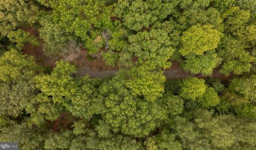 Photo #15 of JOHNSON RD, MINERAL, VA 14.0 acres