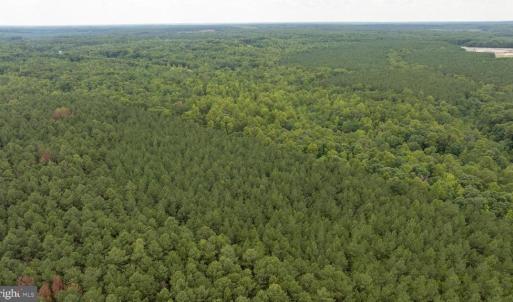 Photo #16 of JOHNSON RD, MINERAL, VA 14.0 acres