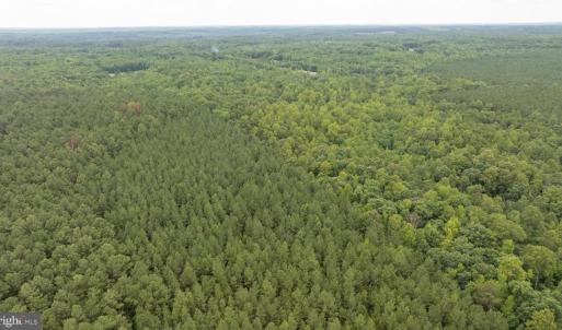 Photo #17 of JOHNSON RD, MINERAL, VA 14.0 acres