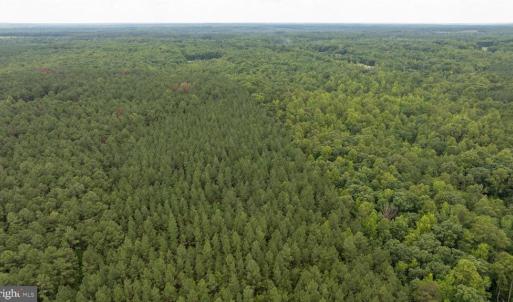 Photo #18 of JOHNSON RD, MINERAL, VA 14.0 acres
