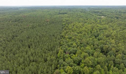 Photo #19 of JOHNSON RD, MINERAL, VA 14.0 acres