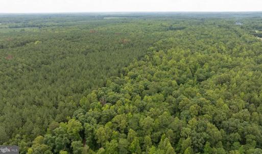 Photo #20 of JOHNSON RD, MINERAL, VA 14.0 acres