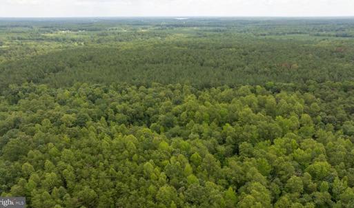 Photo #22 of JOHNSON RD, MINERAL, VA 14.0 acres