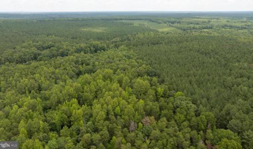 Photo #24 of JOHNSON RD, MINERAL, VA 14.0 acres