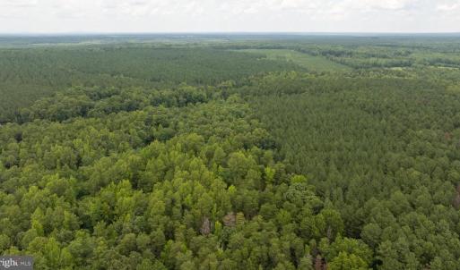 Photo #25 of JOHNSON RD, MINERAL, VA 14.0 acres