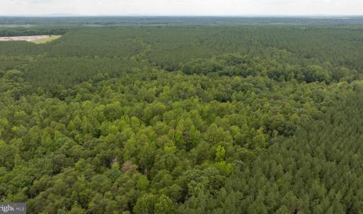Photo #26 of JOHNSON RD, MINERAL, VA 14.0 acres