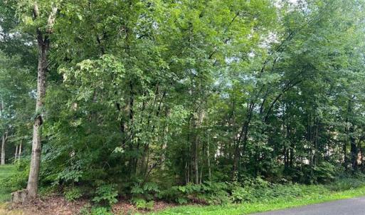 Photo #2 of 507 LIBERTY BLVD, LOCUST GROVE, VA 0.3 acres