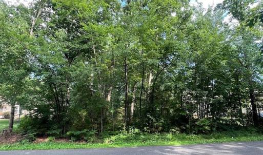 Photo #3 of 507 LIBERTY BLVD, LOCUST GROVE, VA 0.3 acres