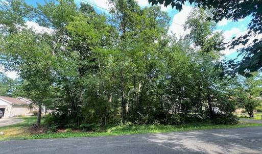 Photo #1 of 507 LIBERTY BLVD, LOCUST GROVE, VA 0.3 acres