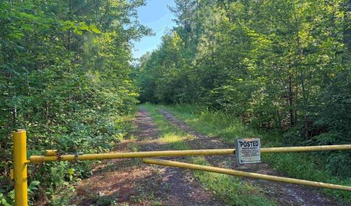 Photo #1 of BANNISTER TOWN ROAD (TRACT DTOF LOUISA), LOUISA, VA 264.0 acres