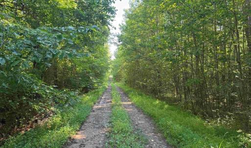 Photo #2 of BANNISTER TOWN ROAD (TRACT DTOF LOUISA), LOUISA, VA 264.0 acres