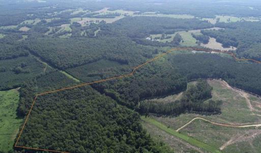 Photo #4 of BANNISTER TOWN ROAD (TRACT DTOF LOUISA), LOUISA, VA 264.0 acres