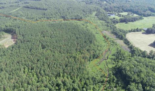 Photo #6 of BANNISTER TOWN ROAD (TRACT DTOF LOUISA), LOUISA, VA 264.0 acres