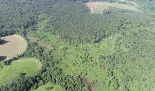Photo #7 of BANNISTER TOWN ROAD (TRACT DTOF LOUISA), LOUISA, VA 264.0 acres