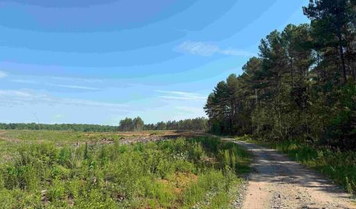 Photo #11 of BANNISTER TOWN ROAD (TRACT DTOF LOUISA), LOUISA, VA 264.0 acres