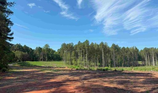 Photo #13 of BANNISTER TOWN ROAD (TRACT DTOF LOUISA), LOUISA, VA 264.0 acres