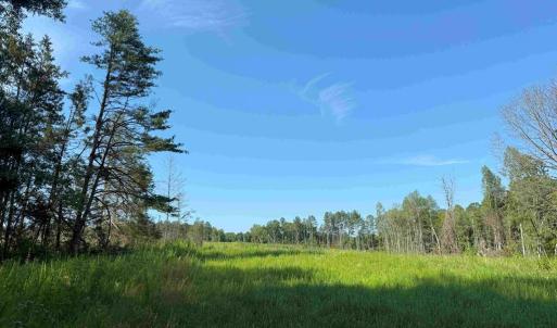 Photo #17 of BANNISTER TOWN ROAD (TRACT DTOF LOUISA), LOUISA, VA 264.0 acres