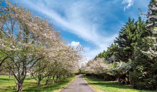 Photo #5 of HAWTHORNE DR, RAPIDAN, VA 4.7 acres