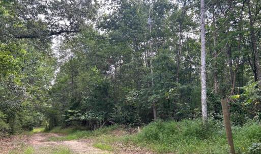 Photo #1 of BICKERS LN, ORANGE, VA 2.0 acres