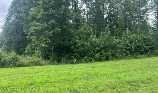 Photo #2 of FAIRVIEW DR, MINERAL, VA 1.1 acres