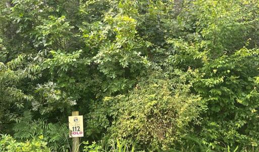 Photo #3 of FAIRVIEW DR, MINERAL, VA 1.1 acres